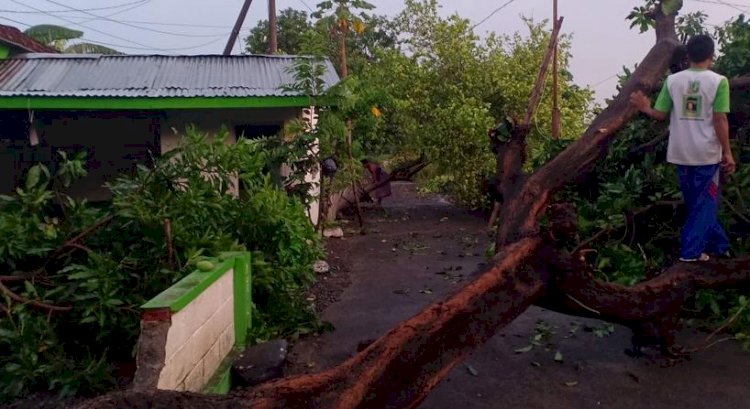 Warga bersama petugas mengevakuasi pohon yang menimpa rumah warga/RMOLJatim