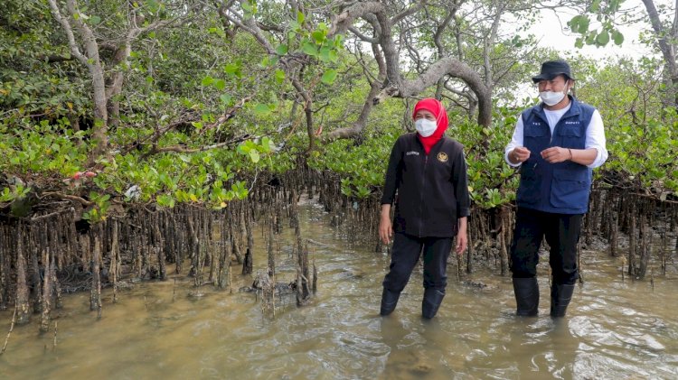 Kunjungan Kerja Gubenur Katim Di Kabupaten Lamongan