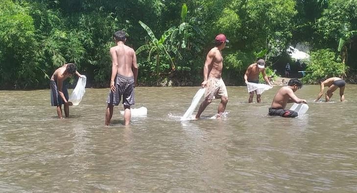 Pelepasan ikan wader di sungai Mayang/Ist