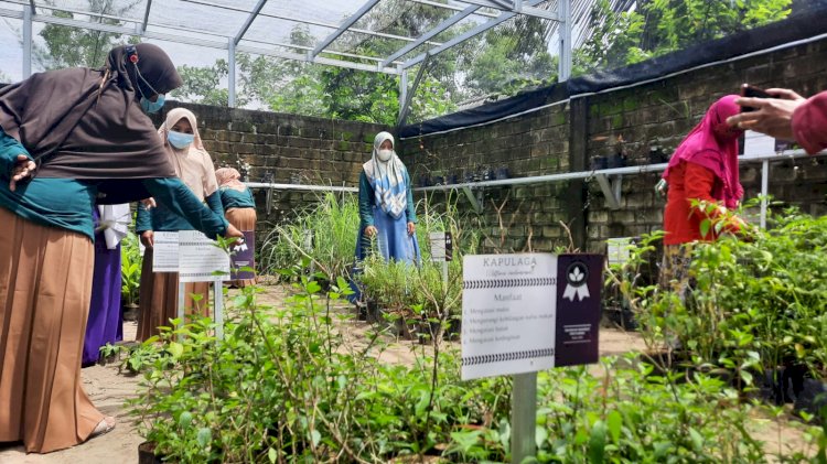 Para lansia dan pra lansia saat menanam tanaman sehat/ ist
