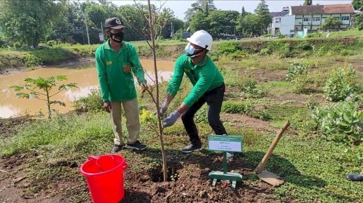 Kepala DLHKP Kota Kediri, Tanam Pohon di Lereng Bukit Maskumambang