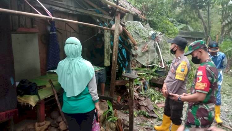 Pohon trembesi di Ponorogo timbang, rusak satu rumah/Ist