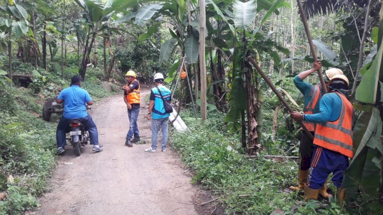 Petugas PLN sedang memperbaiki jaringan PLN yang Putus. /RMOLJatim