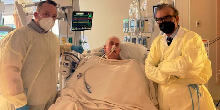 Kondisi David Bennett, pasien transplantasi jantung babi/Net