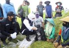 Dorong Optimalisasi Pertanian, Gubernur Jatim Kukuhkan Pengurus Petani Melenial Ronggolawe di Tuban 