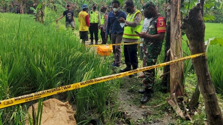 Seorang petani meninggal akibat jebakan tikus beraliran listrik di Ngawi