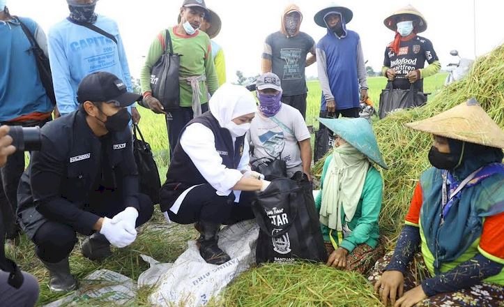 Gubernur Jatim dan Bupati Tuban saat bertemu para petani/RMOLJatim