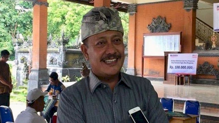 Anggota Komisi VI DPR RI dari Fraksi Partai Golkar, I Gede Sumarjaya Linggih./Dok