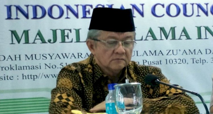 Wakil Ketua Umum MUI Anwar Abbas/Net