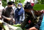 Kuasai Sepertiga Pangsa Pasar Pisang Nasional, Jatim "Geber" Perluasan Akses Ekspor ke Pasar Global