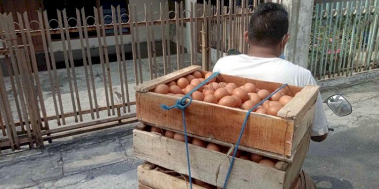 Pedagang telur ayam/RMOLJateng