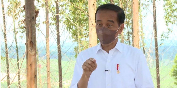 Presiden Republik Indonesia, Joko Widodo di Kalimantan Timur/Net