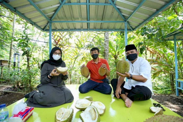 Bupati Ipuk memamerkan salah satu varietas durian unggul lokal di Kecamatan Songgon, Banyuwangi/Humas