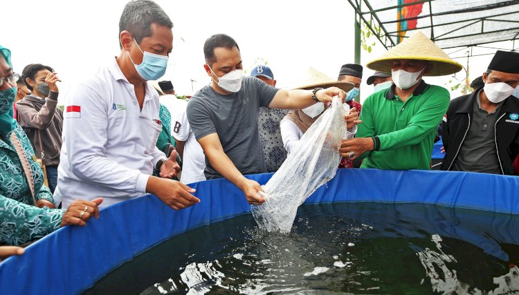 Wali Kota Eri Cahyadi menebar bibit ikan lele di lahan BTKD Tambak Wedi/RMOLJatim