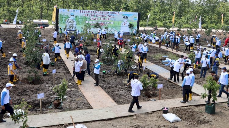 Penanaman pohon secara masal