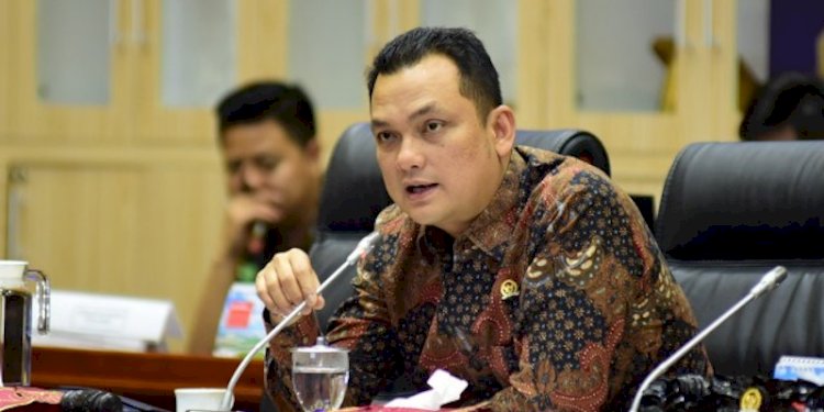 Wakil Ketua Komisi VI DPR RI, Martin Manurung/Net