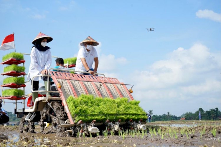  Bupati Ipuk Fiestiandani berharap produktivitas komoditas padi di Banyuwangi semakin meningkat yang berujung pada kesejahteraan petani/Humas