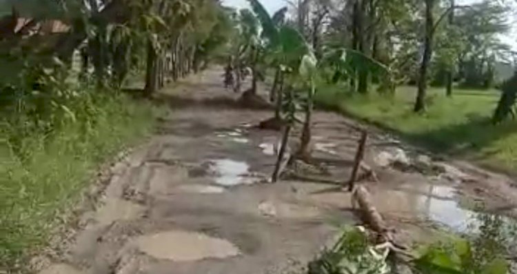 Jalan penghubung desa di Desa Sidoharjo Kecamatan Senori Tuban/RMOLJatim