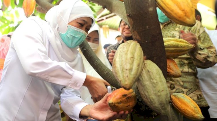 Gubernur Khofifah / ist