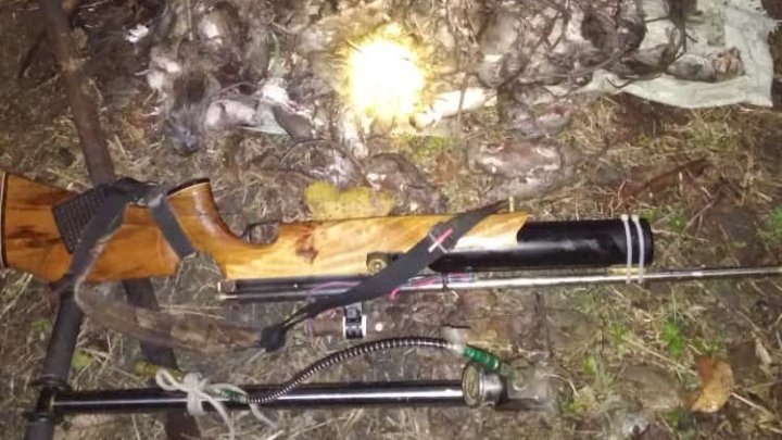 Puluhan tikus hasil dari para penembak jitu di Ngawi
