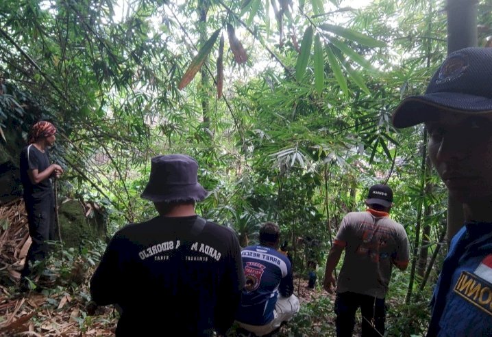 Puluhan personel dari Tim SAR Ngawi mencari keberadaan Nurul Hidayah yang hilang di sungai/RMOLJatim