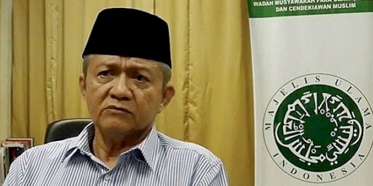 Wakil Ketua Umum MUI Anwar Abbas/Net