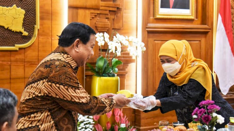 Gubernur Khofifah Ajak Menhan Prabowo Cicipi Buah Nanas PK-1/dok hms