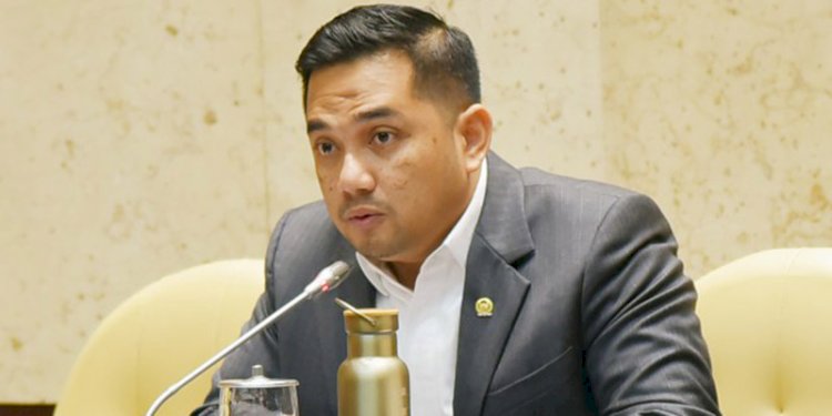 Anggota Komisi II DPR RI Rifqinizamy Karsayuda/Net