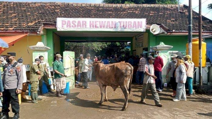 Pasar hewan Tuban/RMOLJatim