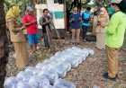 Lanjutkan Program Padat Karya, DKPP Surabaya Tebar Puluhan Ribu Benih Bandeng di Lahan BTKD Pakal