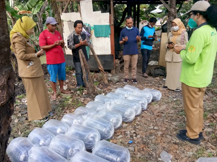 Puluhan ribu benih ikan bandeng akan ditebar di lahan tambak BTKD di wilayah Kecamatan Pakal/ist