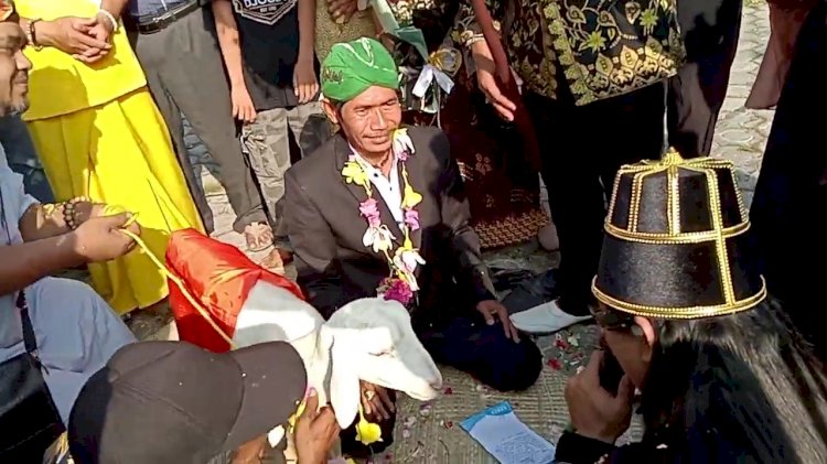 Proses ritual pernikahan Saiful Arif dengan kambing/RMOLJatim