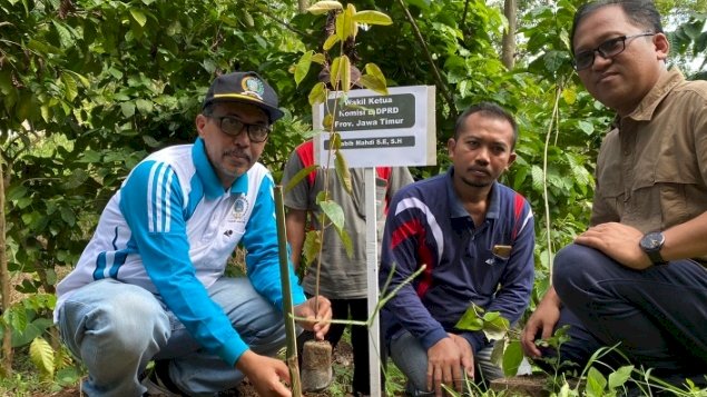 Penanaman bibit dilereng Argopuro Probolinggo. /RMOL Jatim