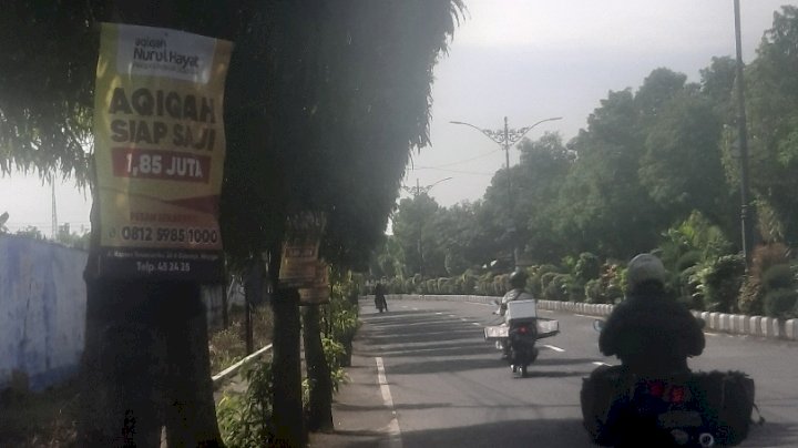 Reklame yang ditempelkan dipohon sepanjang jalan raya Madiun Surabaya (Km18) Caruban/ RMOLJatim