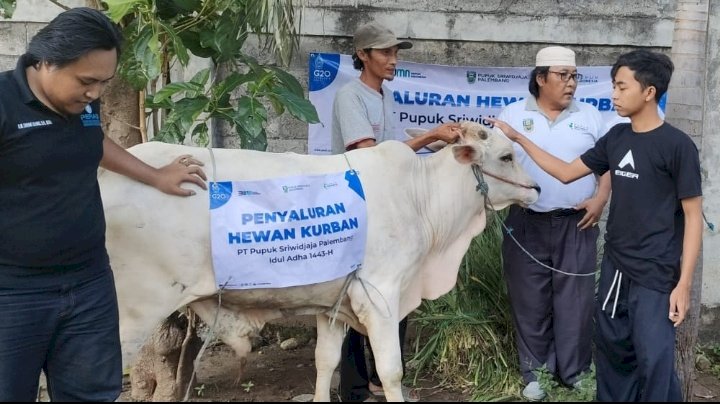 Penyerahan hewan kurban sapi di Pondok Hati Probolinggo. /RMOL Jatim 