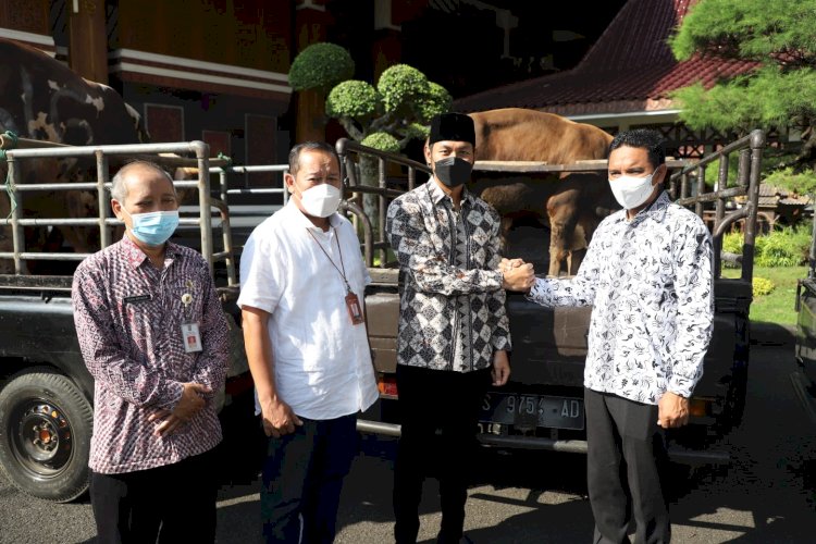 Bupati Tuban Aditya Halindra Faridzky saat menerima bantuan hewan kurban secara simbolis/RMOLJatim