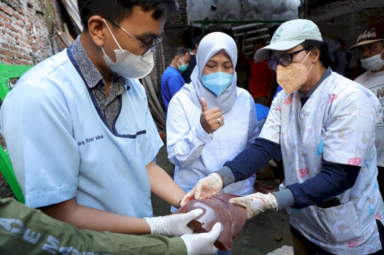 Petugas DKPP Kota Surabaya melakukan pemeriksaan kesehatan hewan kurban/RMOLJatim