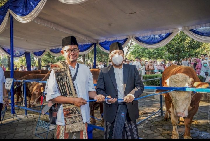 Anwar Sadad mewakili Pimpinan DPRD Jatim menyerahkan hewan qurban kepada takmir masjid Al Akbar Surabaya/ist