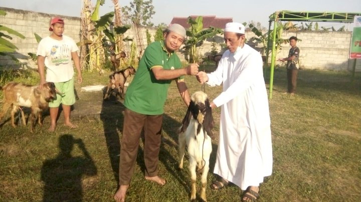 Perwakilan FSPPB (Jubah putih) menyerahkan hewan qurban kepada pimpinan Ponpes Angkring Langgar Candi Oslam Nusantara Madiun Kyai Mohamad Said/ist.