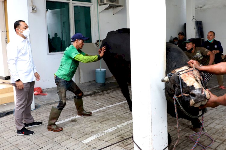 Wali Kota Eri Cahyadi saat meninju penyembelihan sapi kurban/RMOLJatim