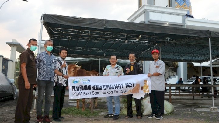 PDAM Surya Sembada berkurban sapi/ist