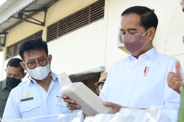 Presiden RI Joko Widodo. /Ist.