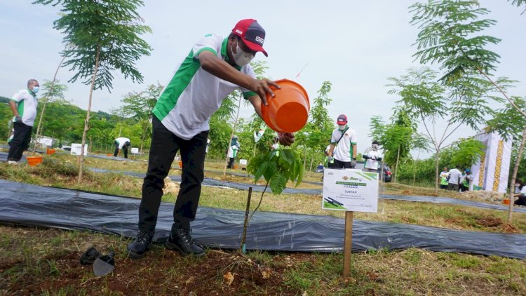 EVP of Plant Operasional SIG Ghopo Tuban, Subhan, melakukan penanaman pohon di lokasi pasca tambang