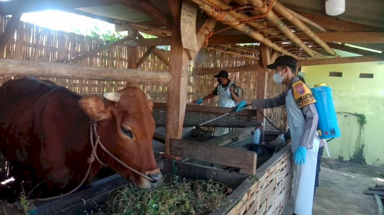 Penyemprotan disinfektan di Kecamatan Lenteng, Kabupaten Sumenep/RMOLJatim