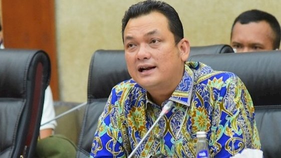 Ketua Bidang Hubungan Internasional Dewan Pimpinan Pusat (DPP) Partai Nasdem, Martin Manurung/Net