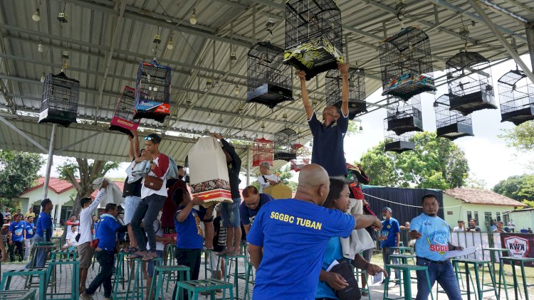 Peserta lomba burung kicau SGGBC melakukan pemasangan burung di area gantangan/RMOLJatim