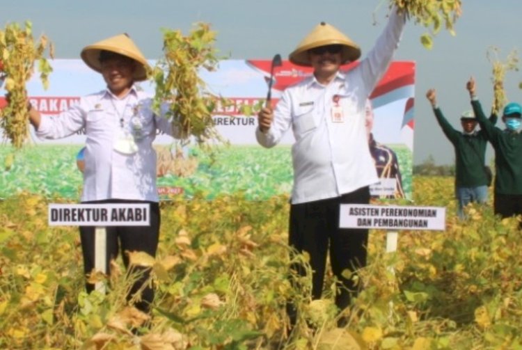 Direktur AKABI saat mengunjungi Desa Tlogohaji, Kecamatan Sumberrejo, Kabupaten Bojonegoro/RMOLJatim