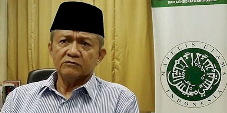 Wakil Ketua Majelis Ulama Indonesia (MUI), Anwar Abbas/Net