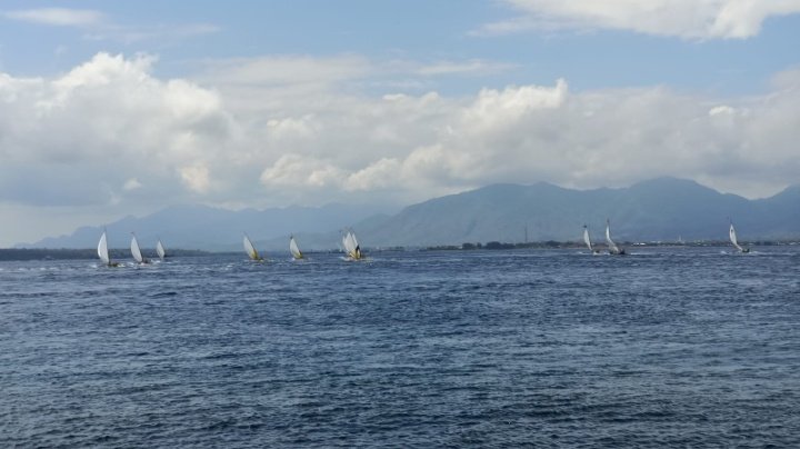 Lomba perahu layar di HUT ke-77 TNI AL di Banyuwangi/ist