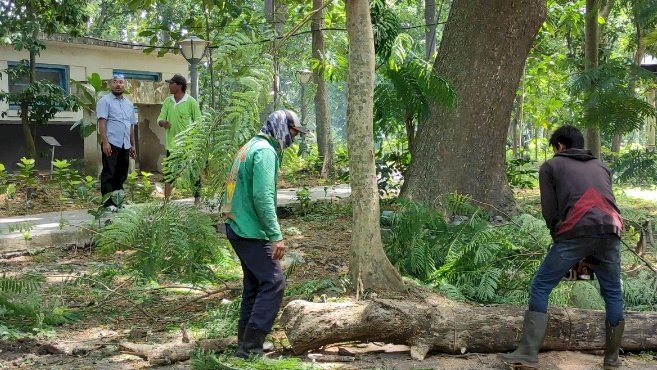 DLHKP Kota Kediri lakukan perawatan taman